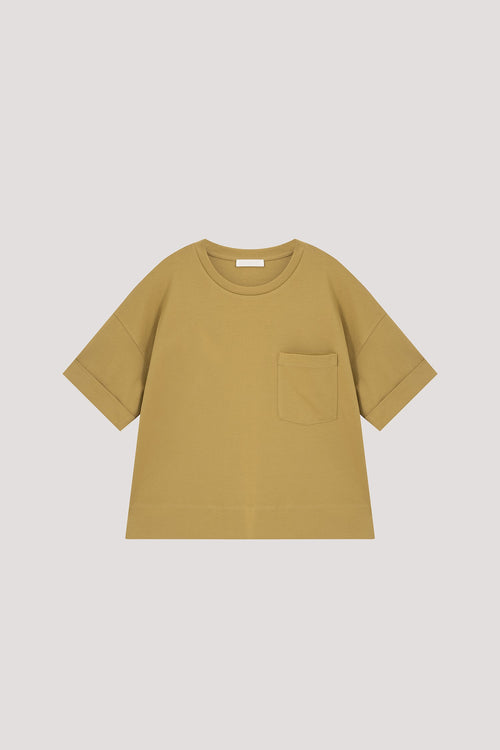color:AVOCADO