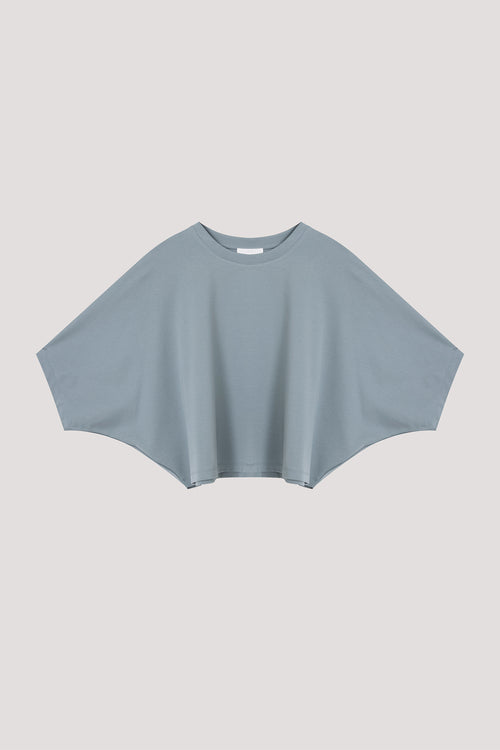 color:DARK AQUA