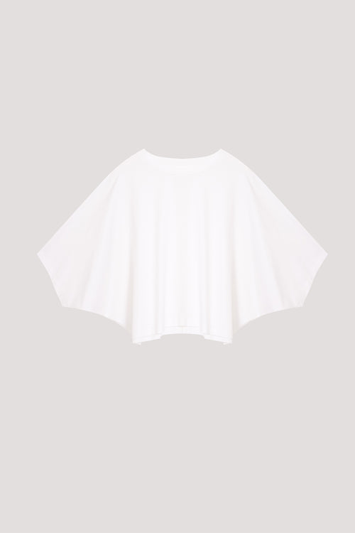 color:IVORY