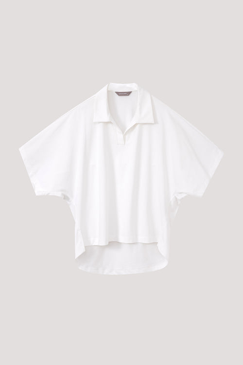 color:IVORY