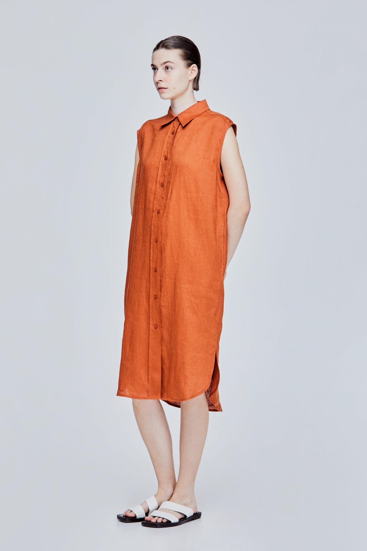 color:CAMEL 2