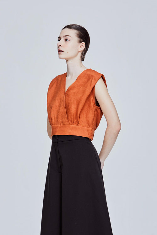 color:CAMEL 2