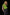 color:APPLE GREEN