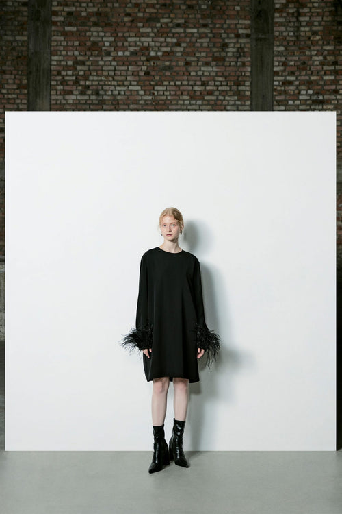 Feather Trimmed Dress