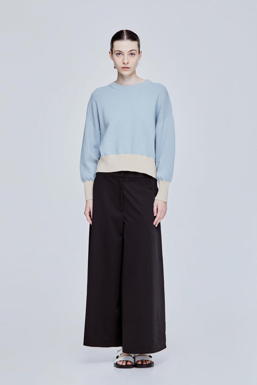color:PALE BLUE